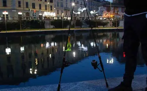 Canne da pesca lungo un canale del centro di Milano di sera